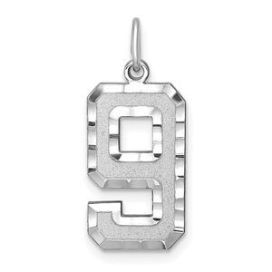 14k White Gold, Varsity Collection, Large D/C Pendant, Number 9